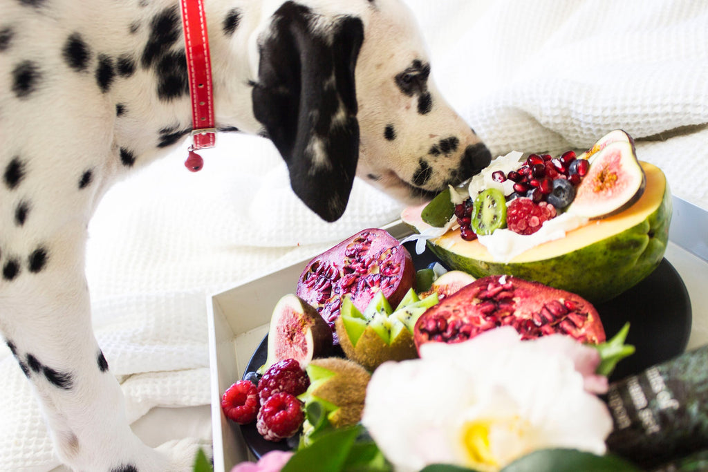 Top 5 Best Fruits & Vegetables To Feed Your Dog