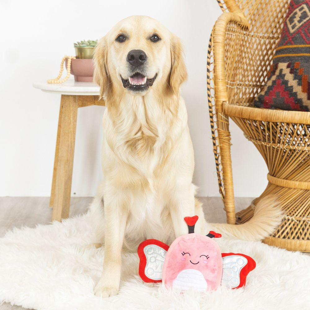 https://pawprintdepot.com/cdn/shop/products/33_FlyMyWayDurablePlushDogToy-min_1024x1024.jpg?v=1671225316